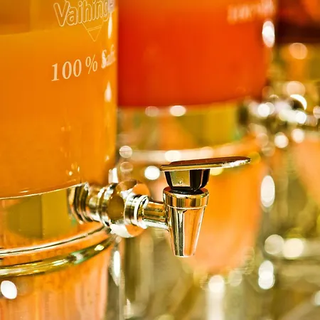 Dorint Frankfurt/oberursel Hotell Oberursel