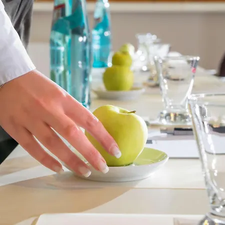 Dorint Frankfurt/oberursel Hotel 4*