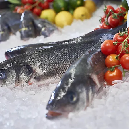 Dorint Frankfurt/oberursel Hotel Oberursel