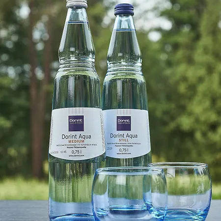 Hotel Dorint Frankfurt/oberursel Oberursel