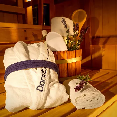 Hotel Dorint Frankfurt/oberursel 4*