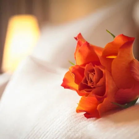 Hotell Dorint Frankfurt/oberursel