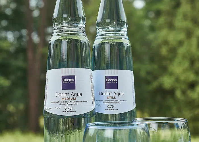 Hotel Dorint Frankfurt/oberursel Oberursel