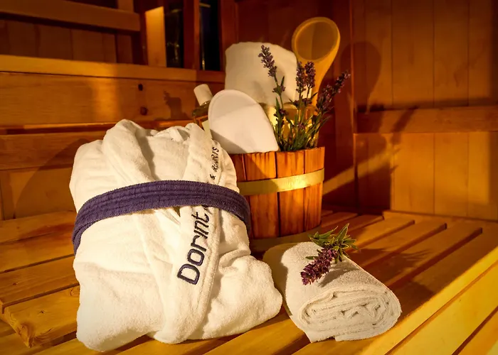 Hotel Dorint Frankfurt/oberursel 4*