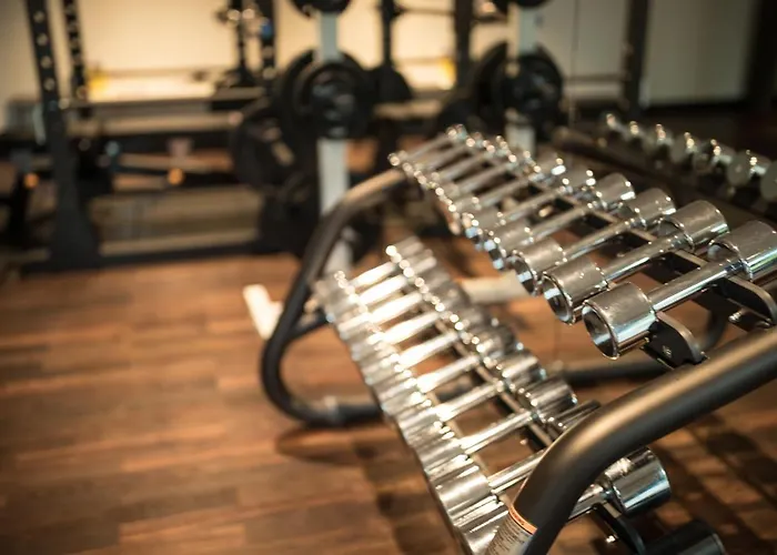 Dorint Frankfurt/oberursel 4* Oberursel